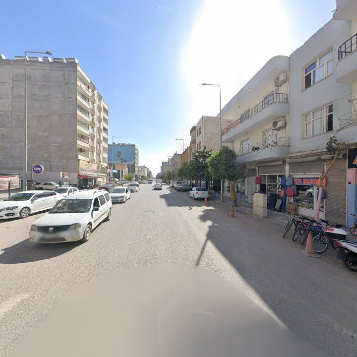 Fotoğraf 9