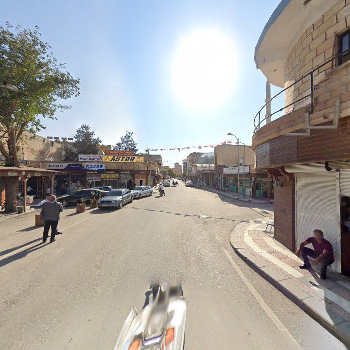 Fotoğraf 7