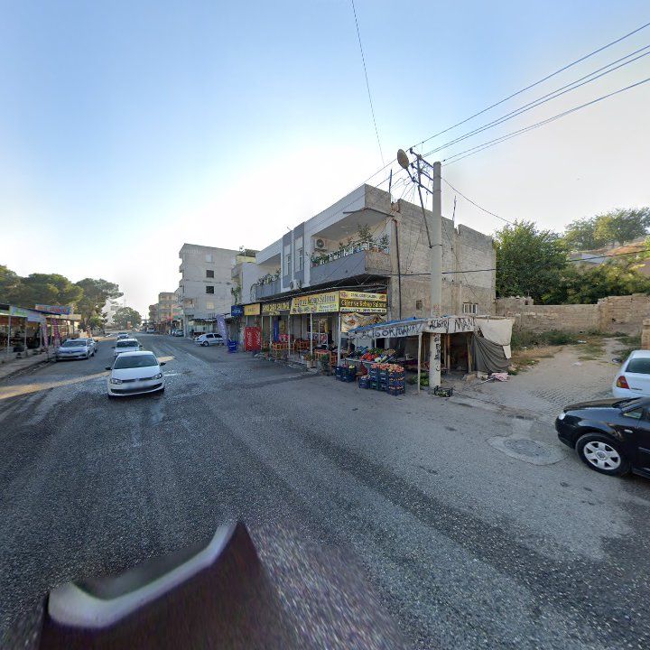 Fotoğraf 7