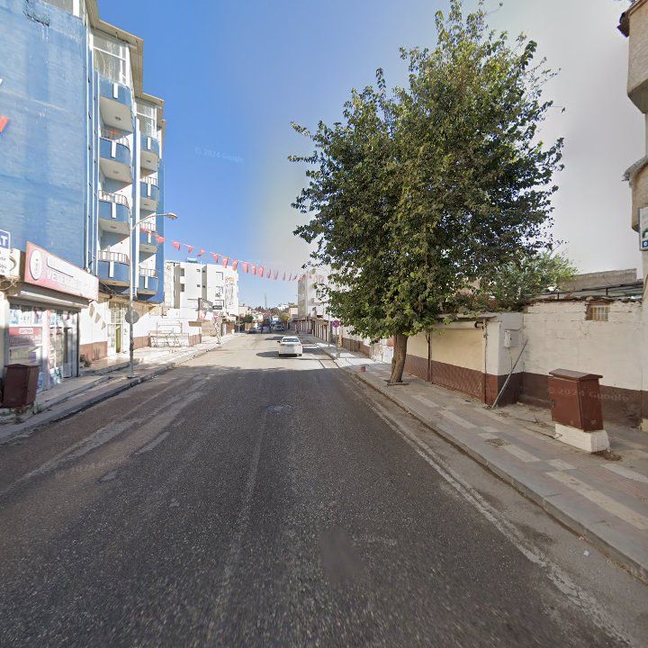 Fotoğraf 8