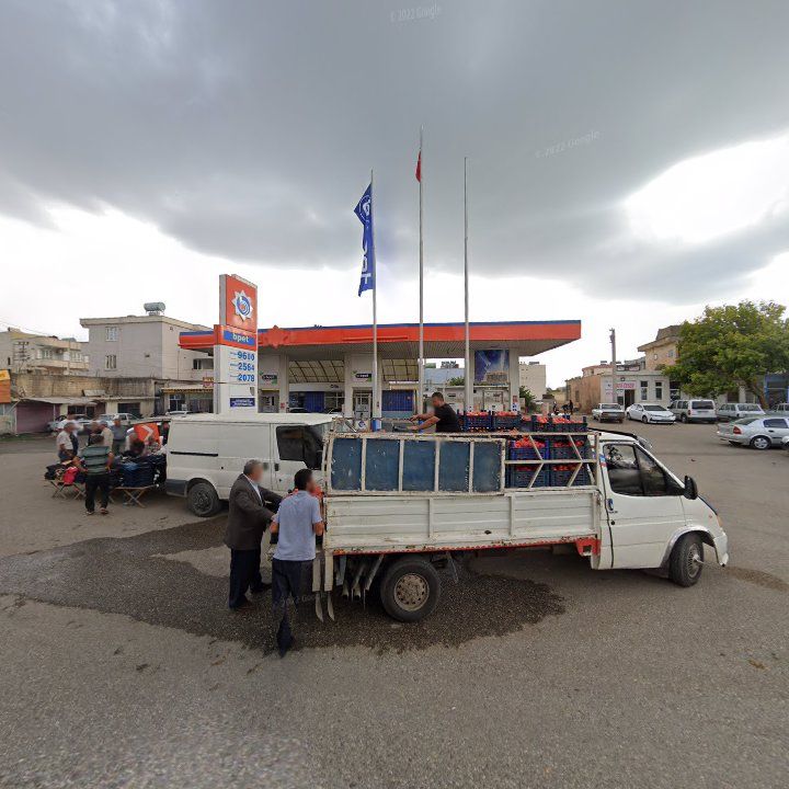 Fotoğraf 3