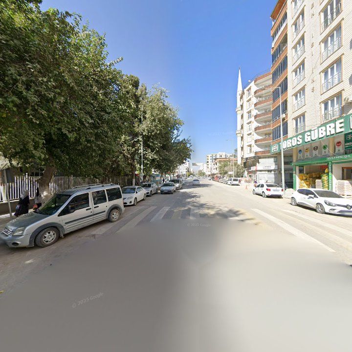 Fotoğraf 11
