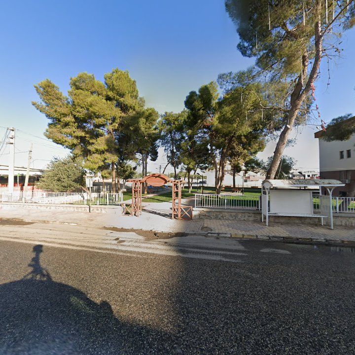 Fotoğraf 8