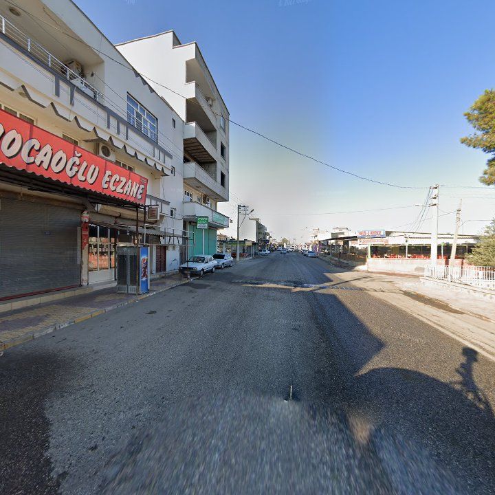 Fotoğraf 7