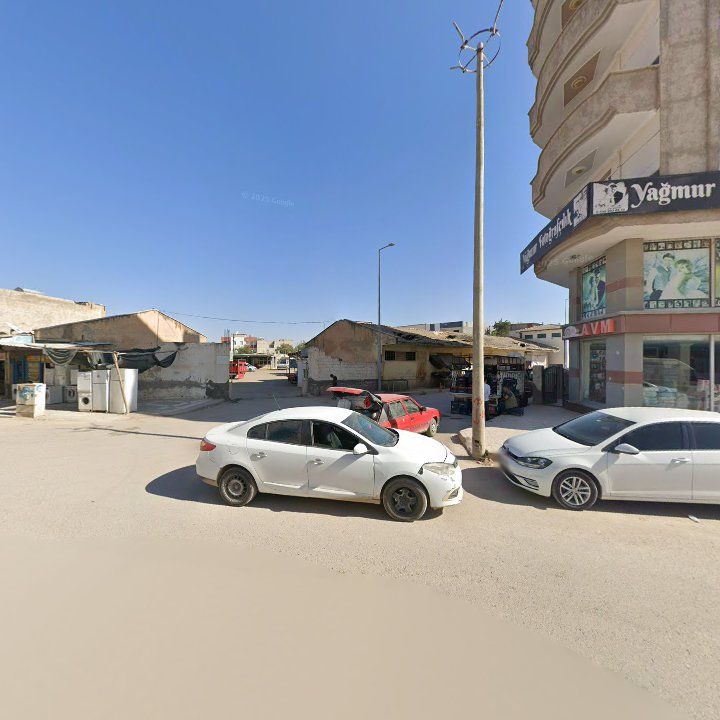 Fotoğraf 7