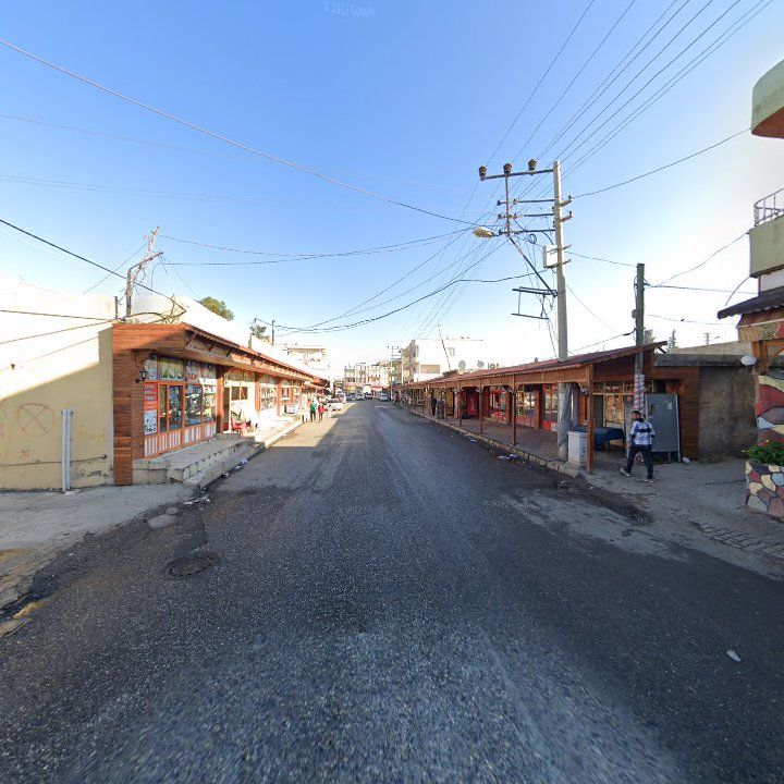 Fotoğraf 7