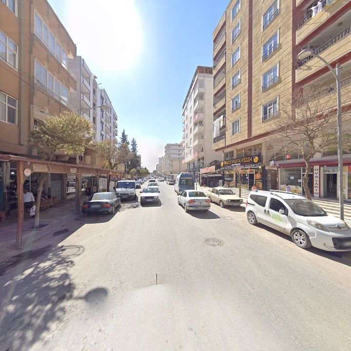 Fotoğraf 9