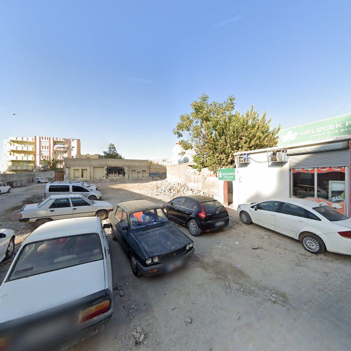 Fotoğraf 7