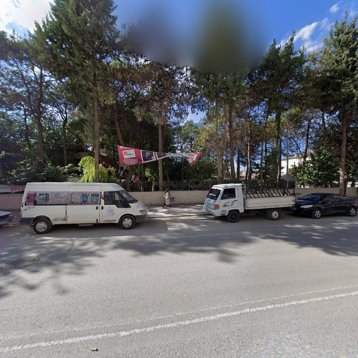 Fotoğraf 9