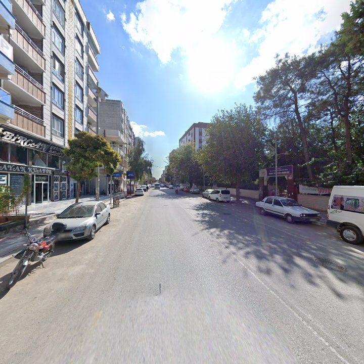 Fotoğraf 8