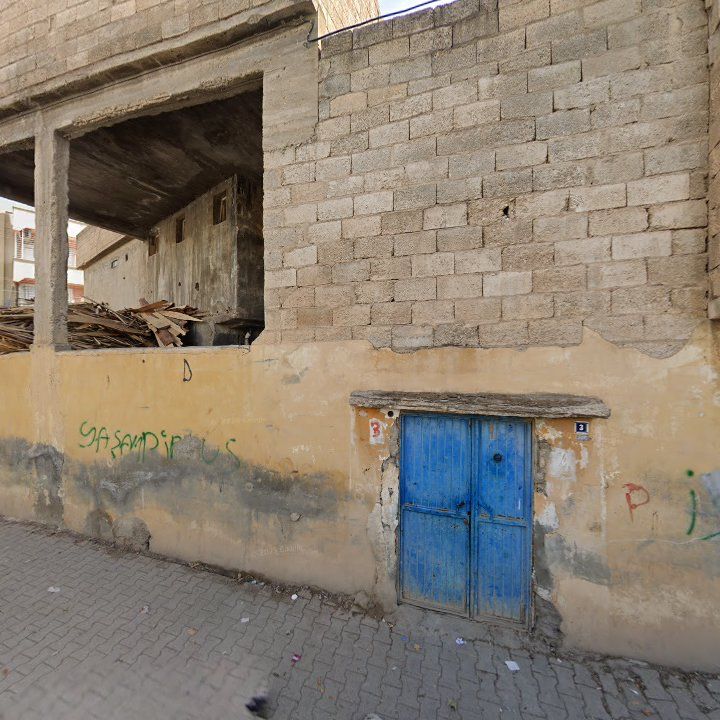 Fotoğraf 3