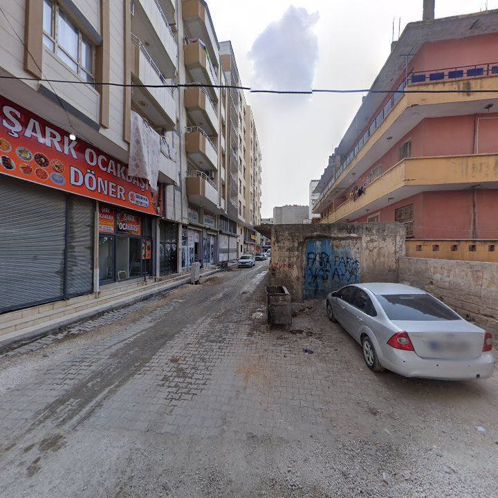 Fotoğraf 9