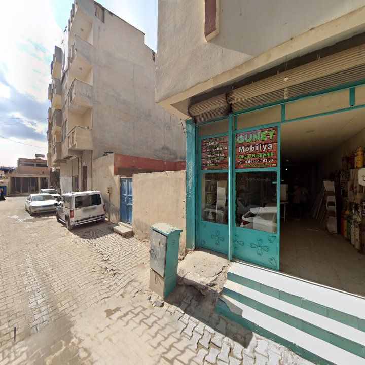 Fotoğraf 9