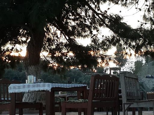 Yorum fotoğrafı 3