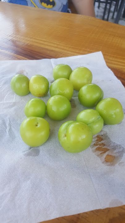 Fotoğraf 17