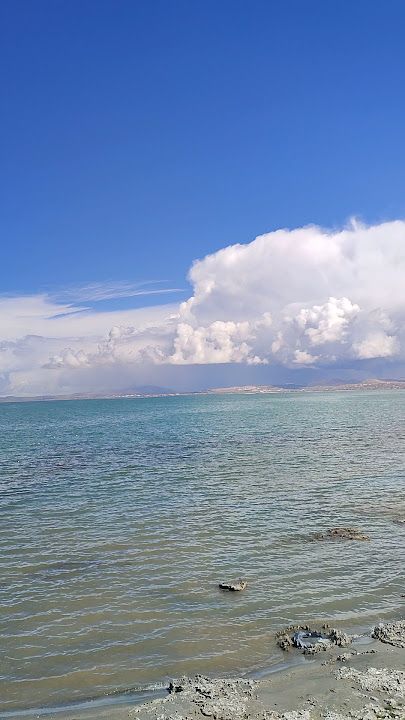 Fotoğraf 32