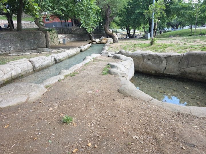 Fotoğraf 33