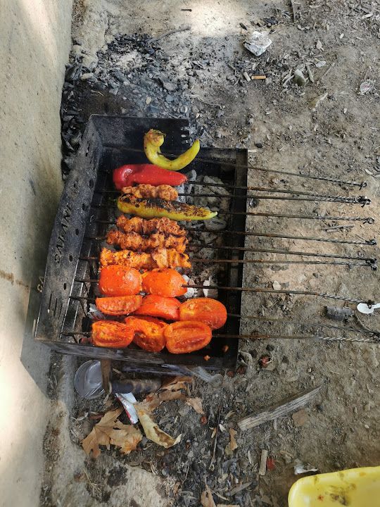 Fotoğraf 36