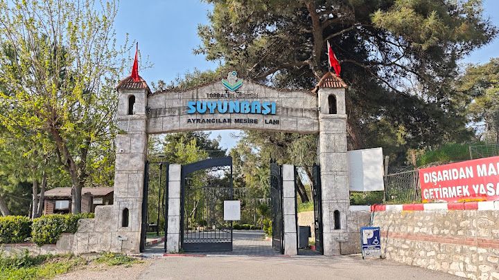 Fotoğraf 32