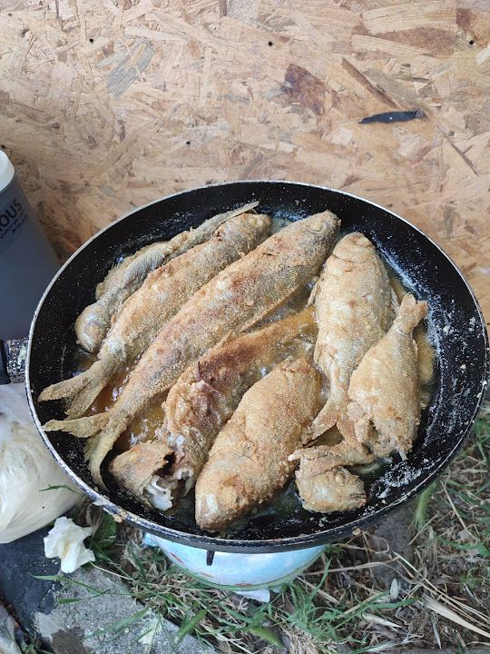 Fotoğraf 37