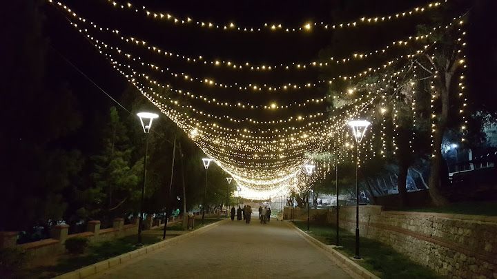 Fotoğraf 62