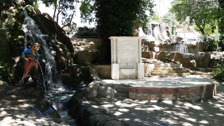 Fotoğraf 28