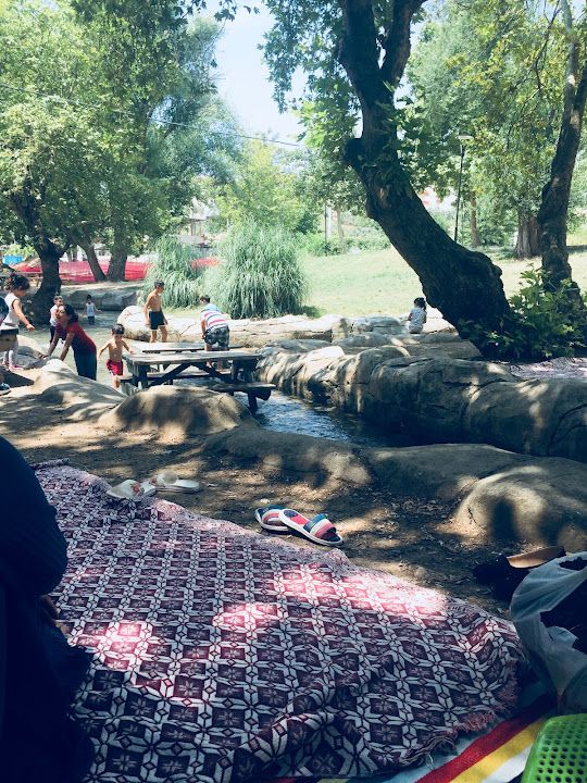 Fotoğraf 55