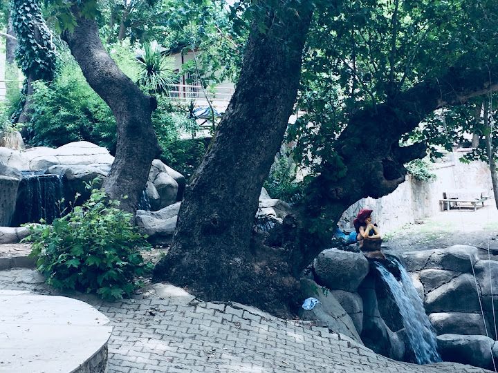 Fotoğraf 56