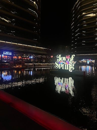 Yorum fotoğrafı 8