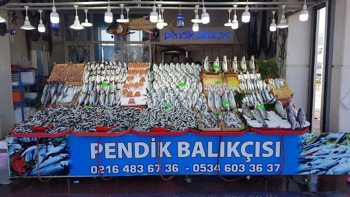 Fotoğraf 14