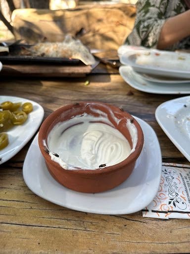 Yorum fotoğrafı 6