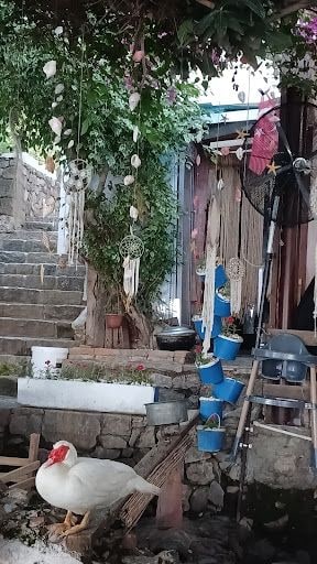 Yorum fotoğrafı 7