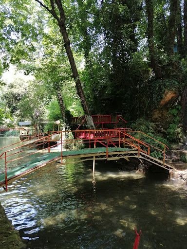 Yorum fotoğrafı 8