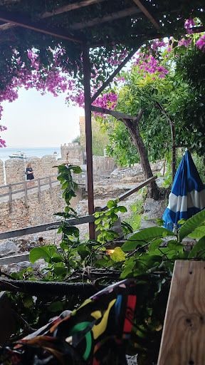 Yorum fotoğrafı 8