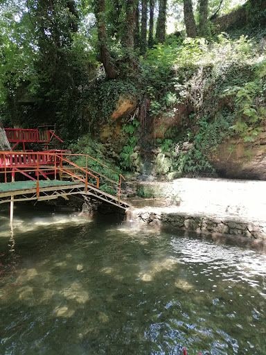 Yorum fotoğrafı 9