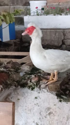 Yorum fotoğrafı 9