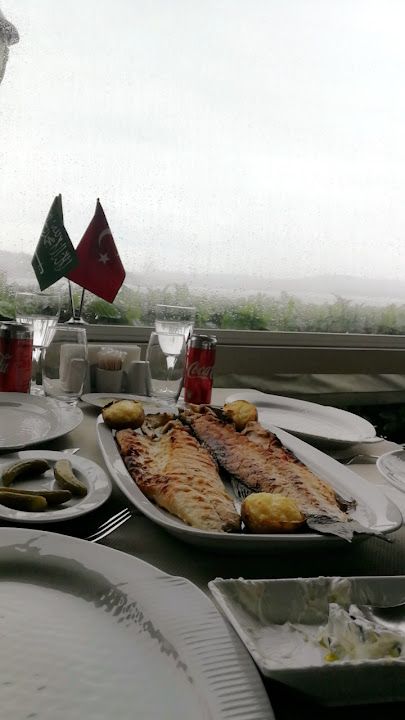 Fotoğraf 11