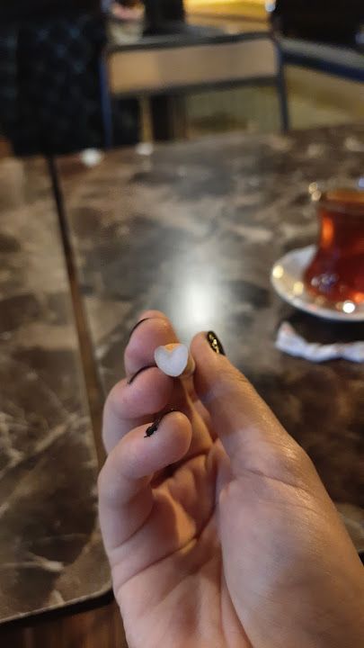 Fotoğraf 36