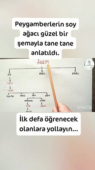 Fotoğraf 14