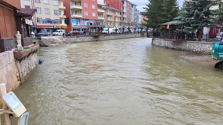Yorum fotoğrafı 4