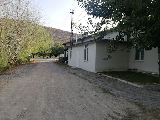 Yorum fotoğrafı 8