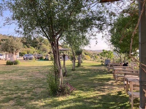 Fotoğraf 34