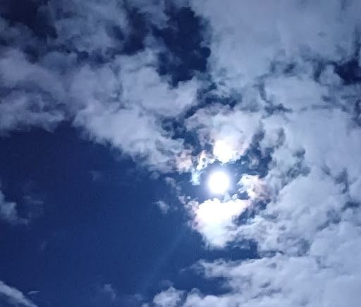 Yorum fotoğrafı 5