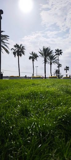 Fotoğraf 27