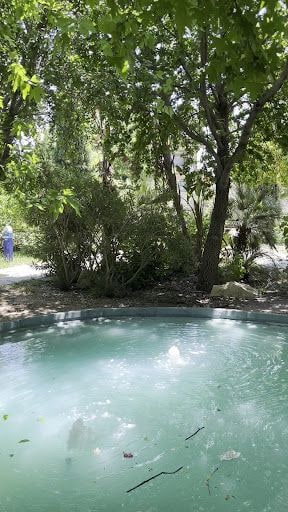 Fotoğraf 12