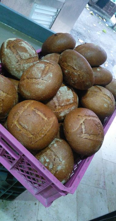 Fotoğraf 13