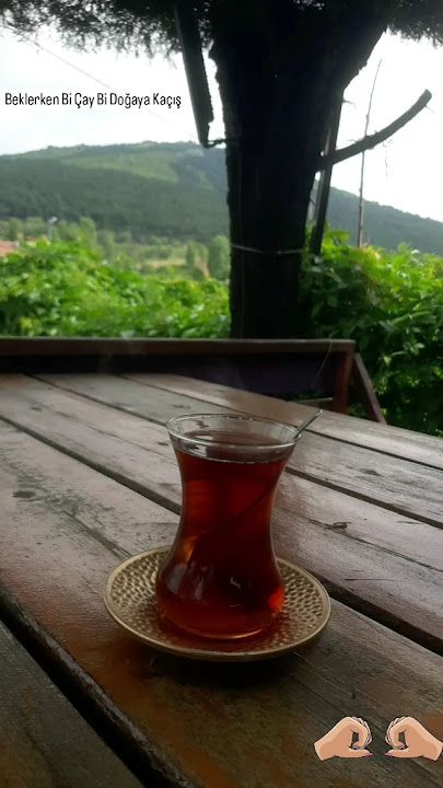 Fotoğraf 16