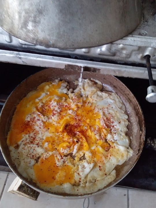 Fotoğraf 14