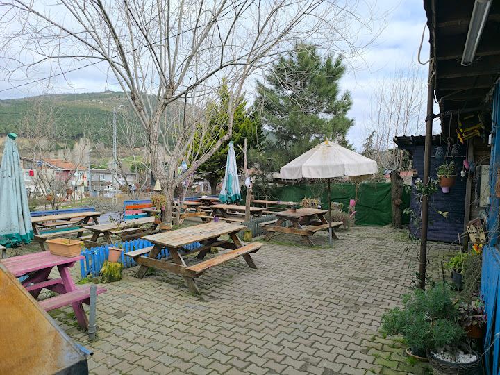 Yorum fotoğrafı 4