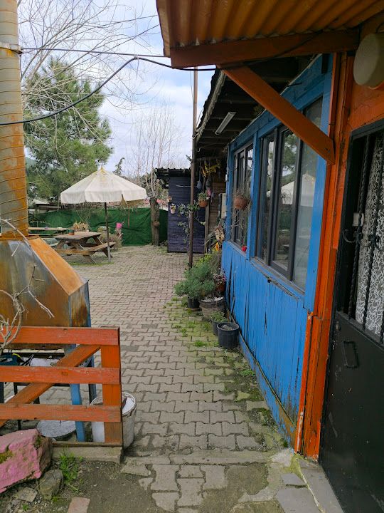 Yorum fotoğrafı 2
